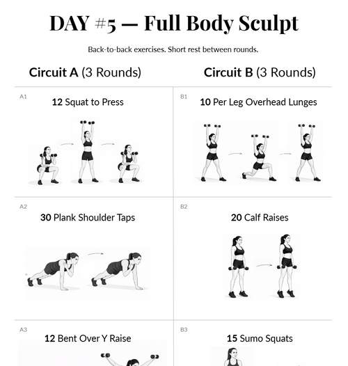 Fit Anywhere Dumbells 1-Week Plan